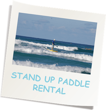 STAND UP PADDLE RENTAL